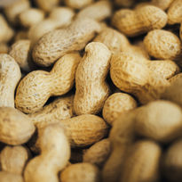 Erdnussöl gesund
