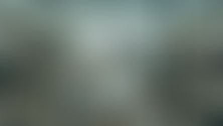 Layout of the Laundry