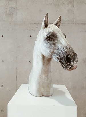 Image by Alvan Nee