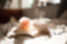 Image by Carli Jeen