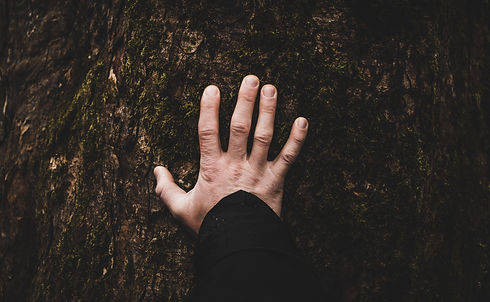 Image by Fabrizio Verrecchia