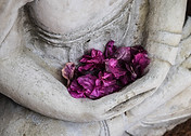 Petals in a statue by Chris Ensey