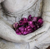Image by Chris Ensey