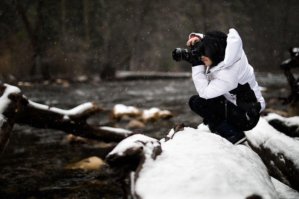 Image by Sean Pierce