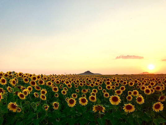 Image by Özcan ADIYAMAN