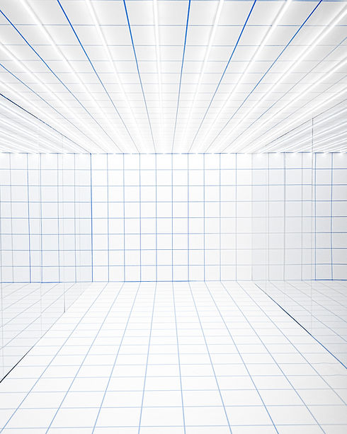 Image by Esteban Chinchilla