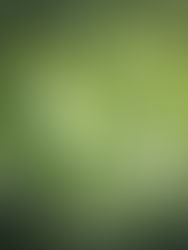 Вопрос: Есть ли побочные эффекты от употребления каннабиса?