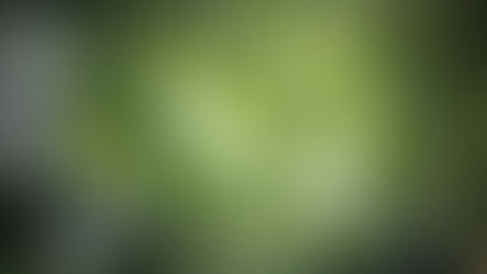 Prednášky o meditácii vo Zvolene a Bratislave