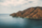 Image by Alejandro Ortiz