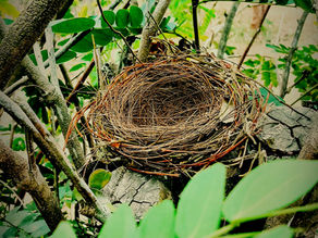 The Quite House: Finding Yourself in the Empty Nest