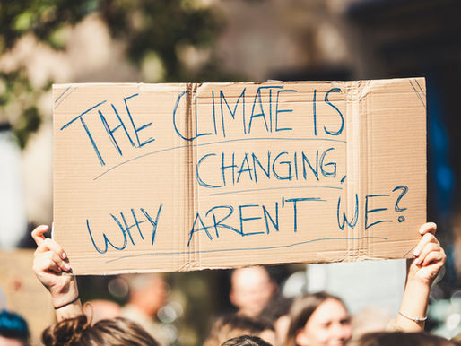 Caring for the planet and for people