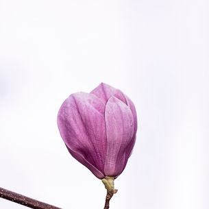 Unlock Your Joy This June: The Essential Guide to Setting Boundaries