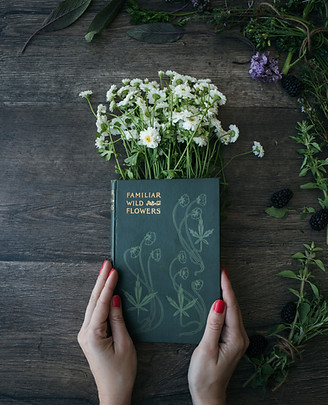 Image by Heather Barnes