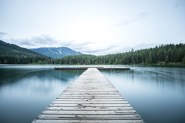 Image by Tj Holowaychuk