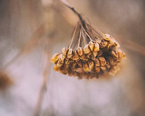 Image by Юлия Медведева