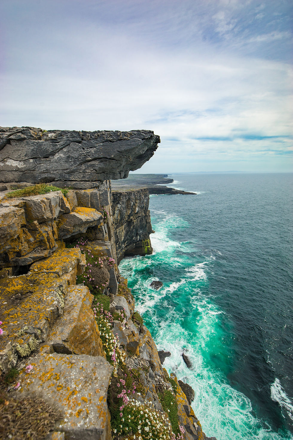 Image by Conor Luddy