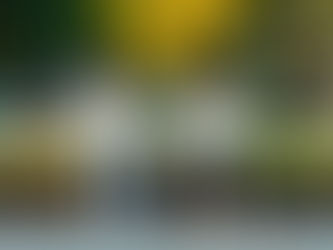 美国公民申请兄弟移民排期表:流程解析、时间预估与月度查询指南