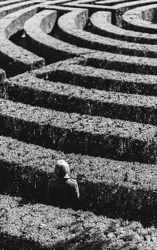 Image by Maksym Kaharlytskyi