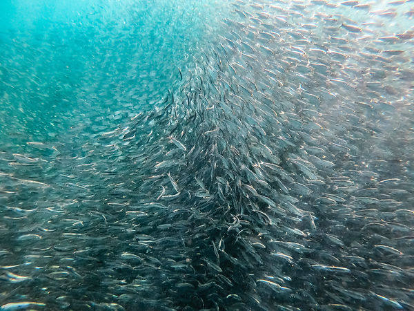 Image by Matthew T Rader