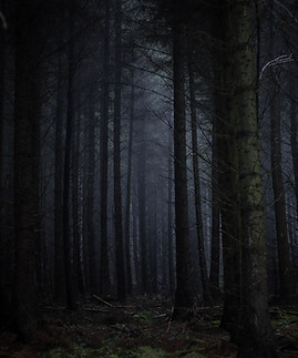 Image by Rosie Sun
