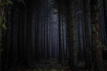 Image by Rosie Sun