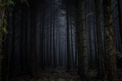 Image by Rosie Sun
