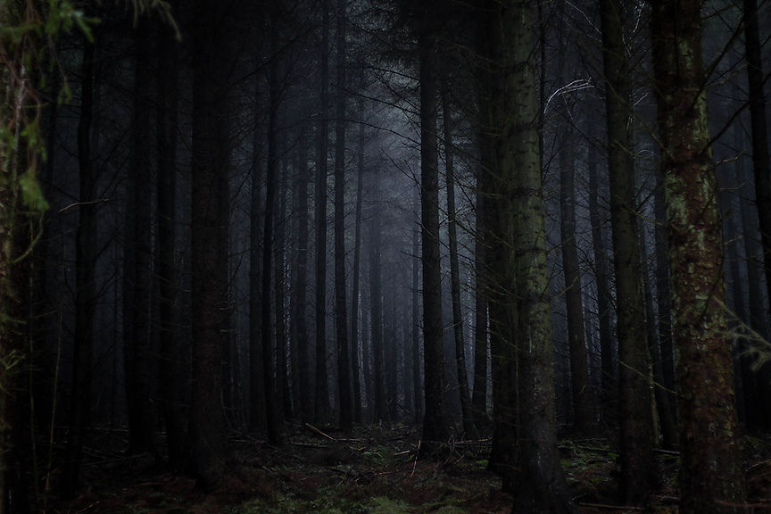 Image by Rosie Sun