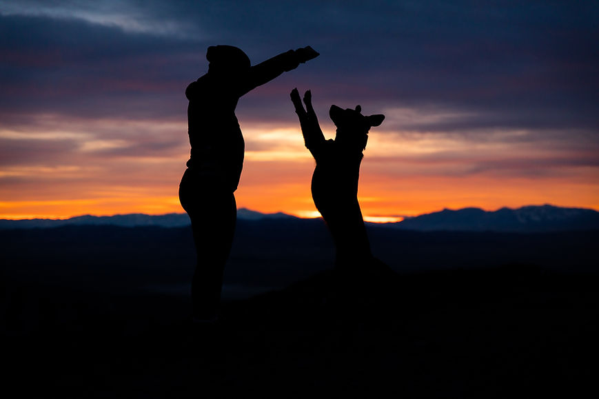 Dog and owner