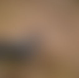 Avustralya Sığır Köpeği