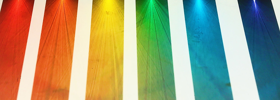 Image by Joyce Hankins