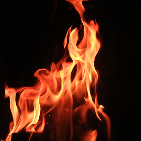 Inflammation: Immunity and Aging Part 2