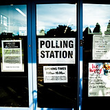 Image by Elliott Stallion