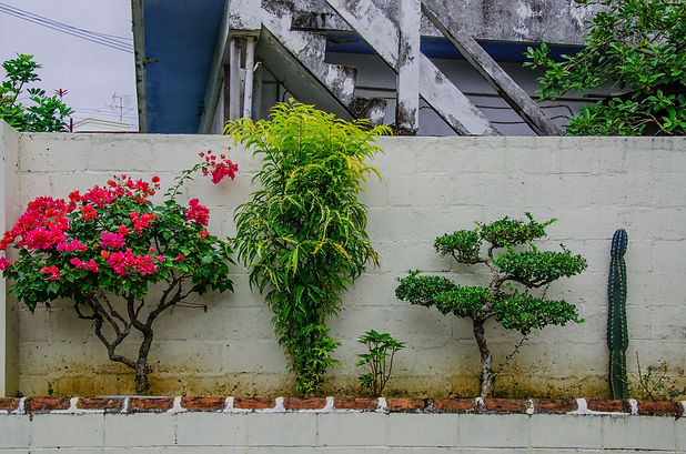 Image by Julie Fader