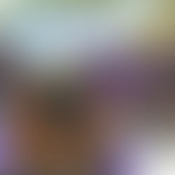 U.S. Department of Education Reaches Historic Milestone in FAFSA Completions