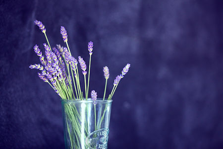 Image by Sharon McCutcheon