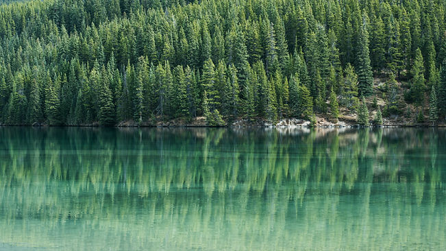Image by Tj Holowaychuk