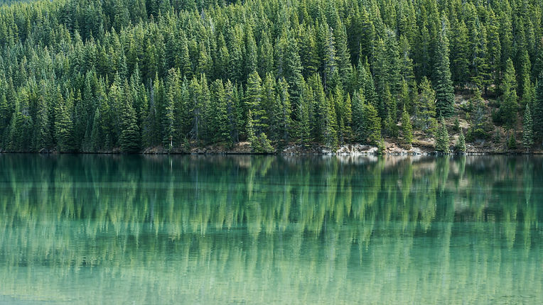 Image by Tj Holowaychuk