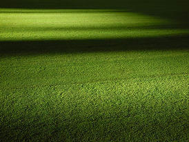 Image de Adrian Curiel