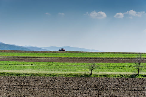 Image by Petim latifi