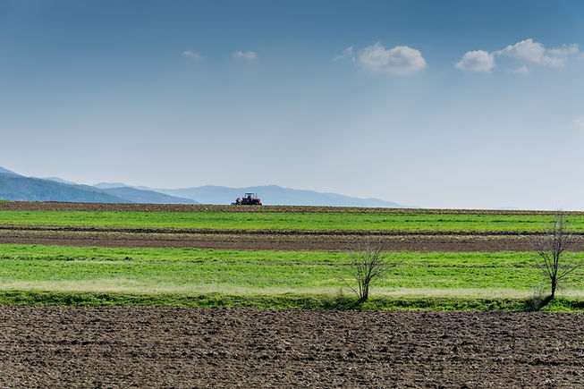 Image by Petim latifi