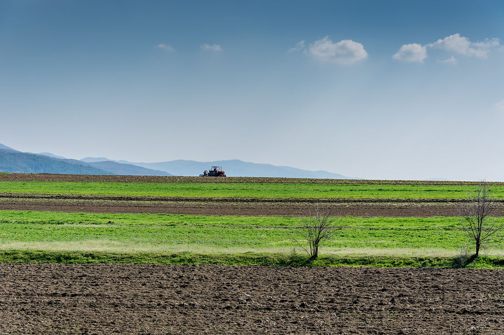 Image by Petim latifi