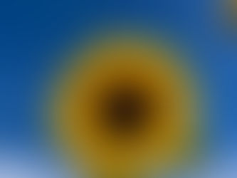 Reclaiming Shen: How Acupuncture Treats the Shen(Spirit)