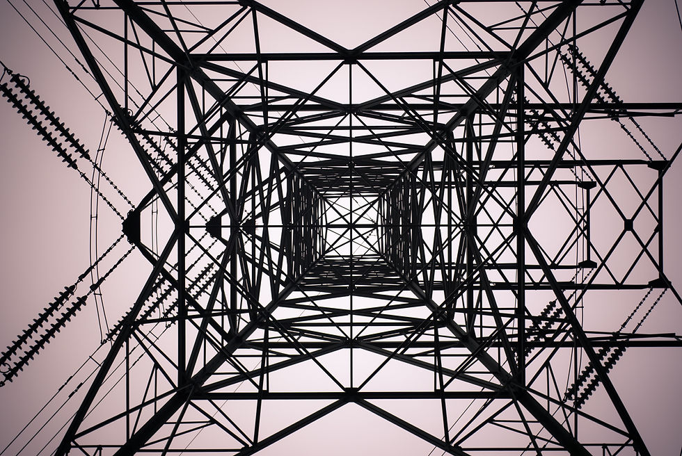 Image by Shane Rounce