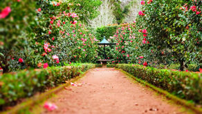 En el jardín (1ª parte)