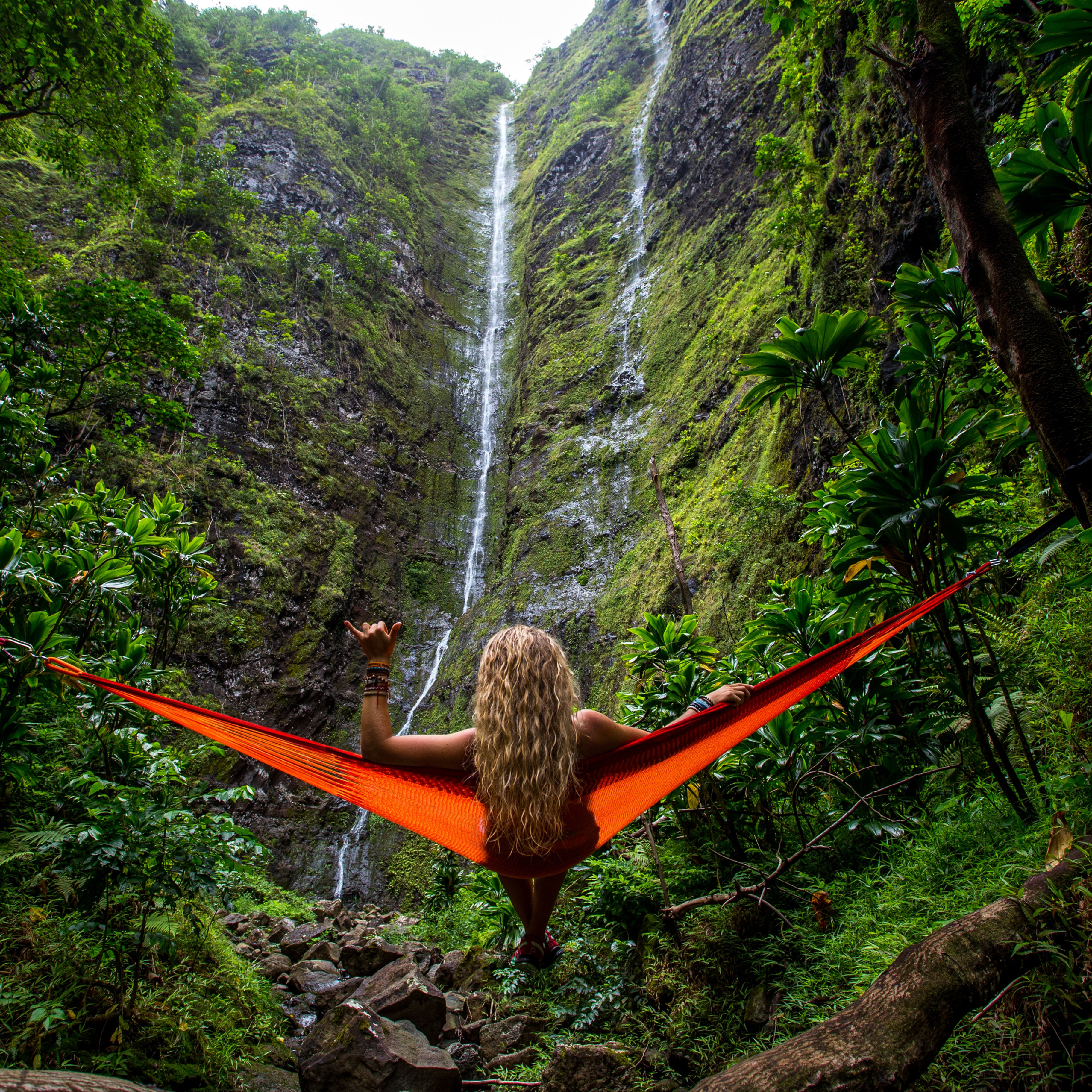 Hammock