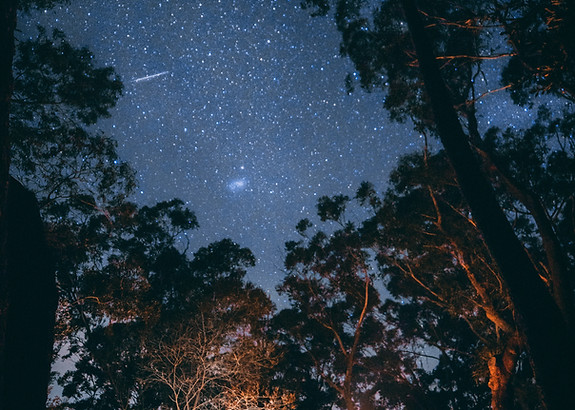 Image by Jonathan Forage