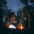 Image by Jonathan Forage