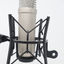 Writer: Inside Audio Marketing
