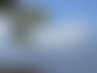 Trekking is a fantastic way to appreciate nature