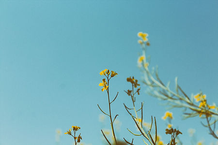Image by Larm Rmah